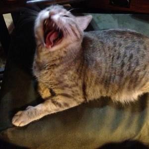 Meet your Posher, Kathryn